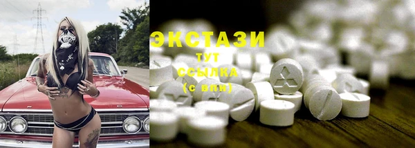 МДПВ Бородино
