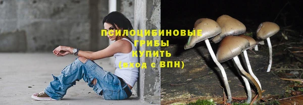 ALPHA PVP Богданович