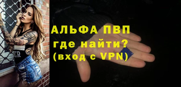 МДПВ Бородино