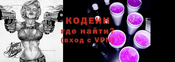 МДПВ Бородино
