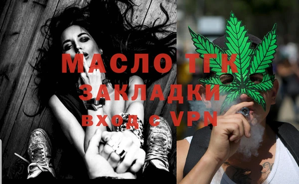 МДПВ Бородино
