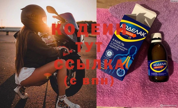 МДПВ Бородино